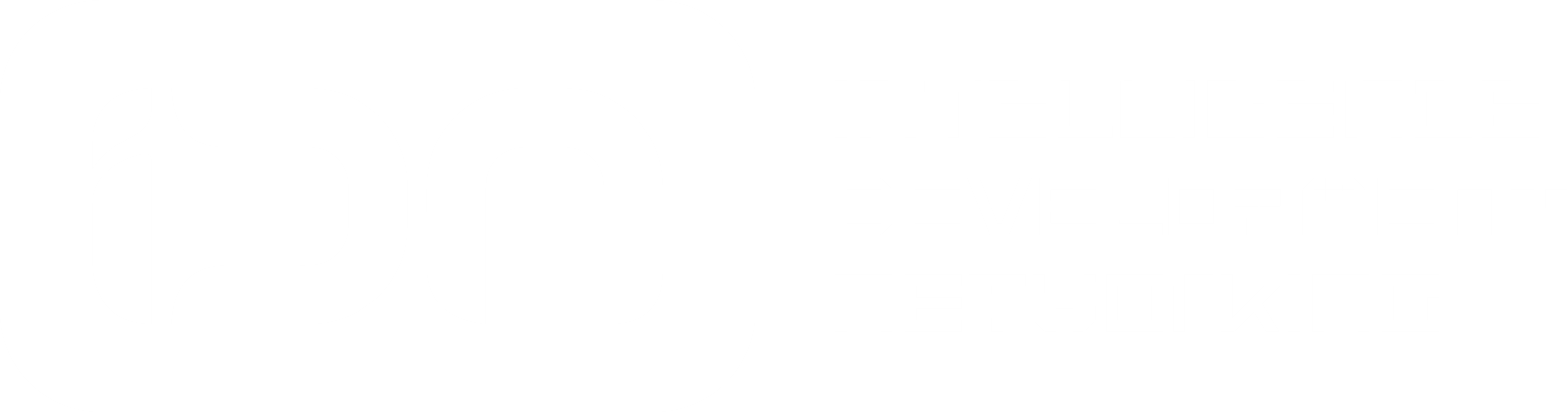IDN · Intelligence Development Networking